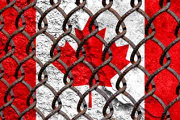 Steel grid on the background of the flag